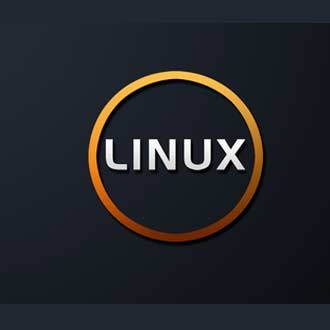 經(jīng)驗(yàn)之談：如何在服務(wù)器上安裝專業(yè)版的linux呢？.jpg