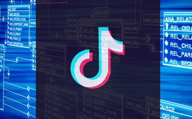 性價(jià)比高的印度尼西亞tiktok節(jié)點(diǎn)有何推薦？.png