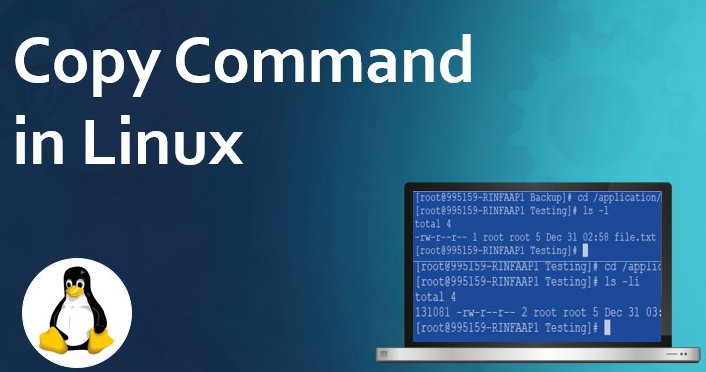 linux復制文件cp命令怎么使用,？.png