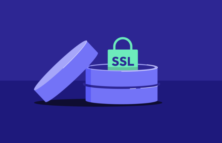 如何確保MySQL SSL證書的安全存儲(chǔ)？.png